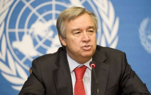 الأمم المتحدة: لا بديل عن حل الدولتين للقضية الفلسطينية