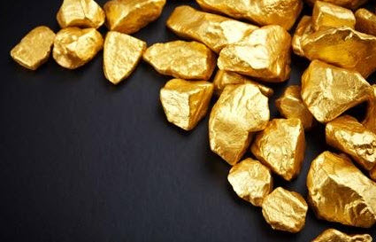 سرقة قطعة نقدية من الذهب وزنها 100 كيلوغرام