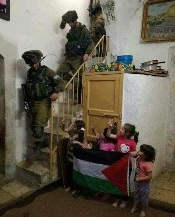 أطفال يولدون كبارا .. مشهد لن تراه سوى في فلسطين   