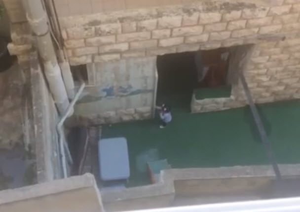 التنمية الاجتماعية  : اغلاق ٣ اشهر للحضانة المسيئة بجبل عمان... فيديو