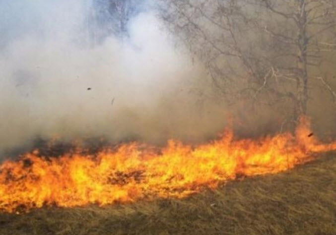 عبث أطفال يشعل حريقا بـ8 دونمات