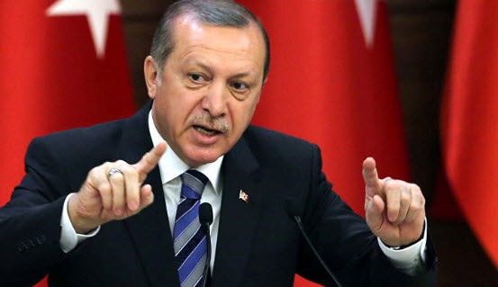 أردوغان يدعو الأتراك في ألمانيا للتصويت ضد ميركل وحلفائها