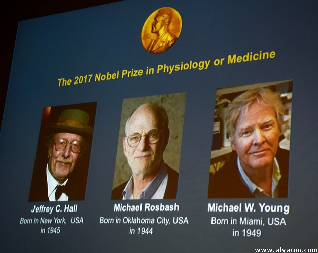 ثلاثة علماء أمريكيين يفوزون بجائزة نوبل للفيزياء