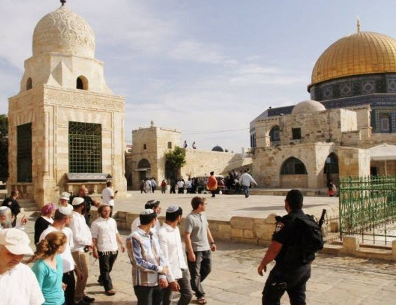 القدس.. 59 مستوطنًا يقتحمون الأقصى والاحتلال يعتقل سيدة فلسطينية