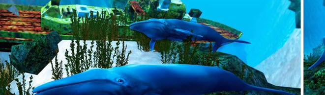 "الحوت الأزرق" تواصل حصد الأرواح في دولة عربية