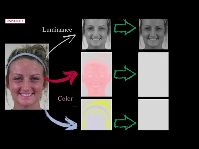 لون الوجه يكشف المشاعر الحقيقية رغم إخفائها