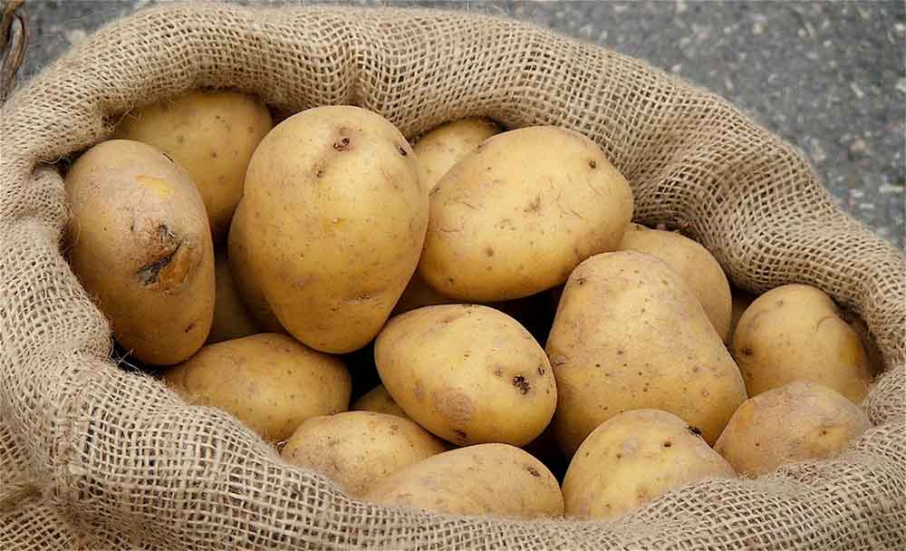 دراسة تكشف "حقائق مفزعة" عن البطاطا