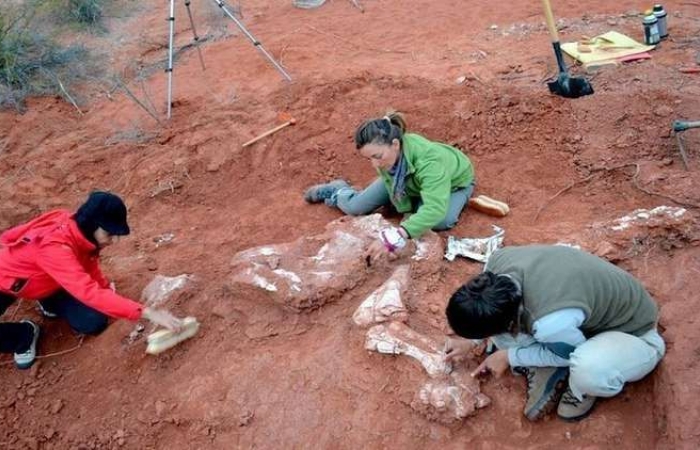 العثور على حفريات "العملاق الأول" في الأرجنتين 