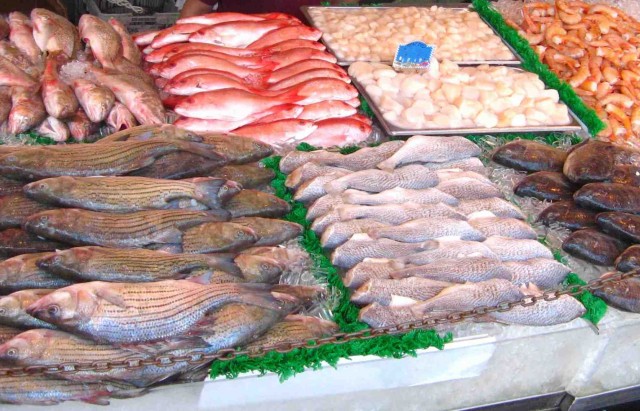 بحث انشاء سوق للأسماك الطازجة في عمّان