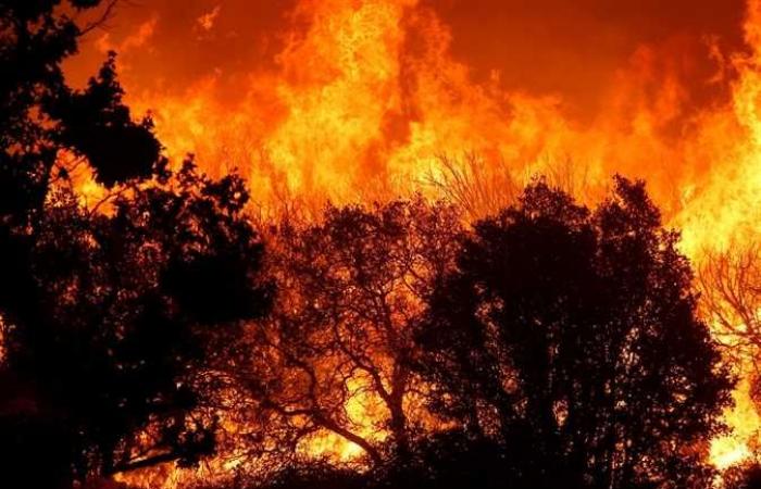 ارتفاع عدد ضحايا حرائق غابات في كاليفورنيا إلى 48 قتيلا