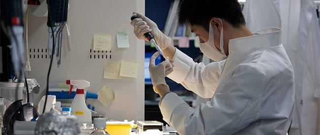 اليابان توافق على تجربة علاج الحبل الشوكي بخلايا جذعية