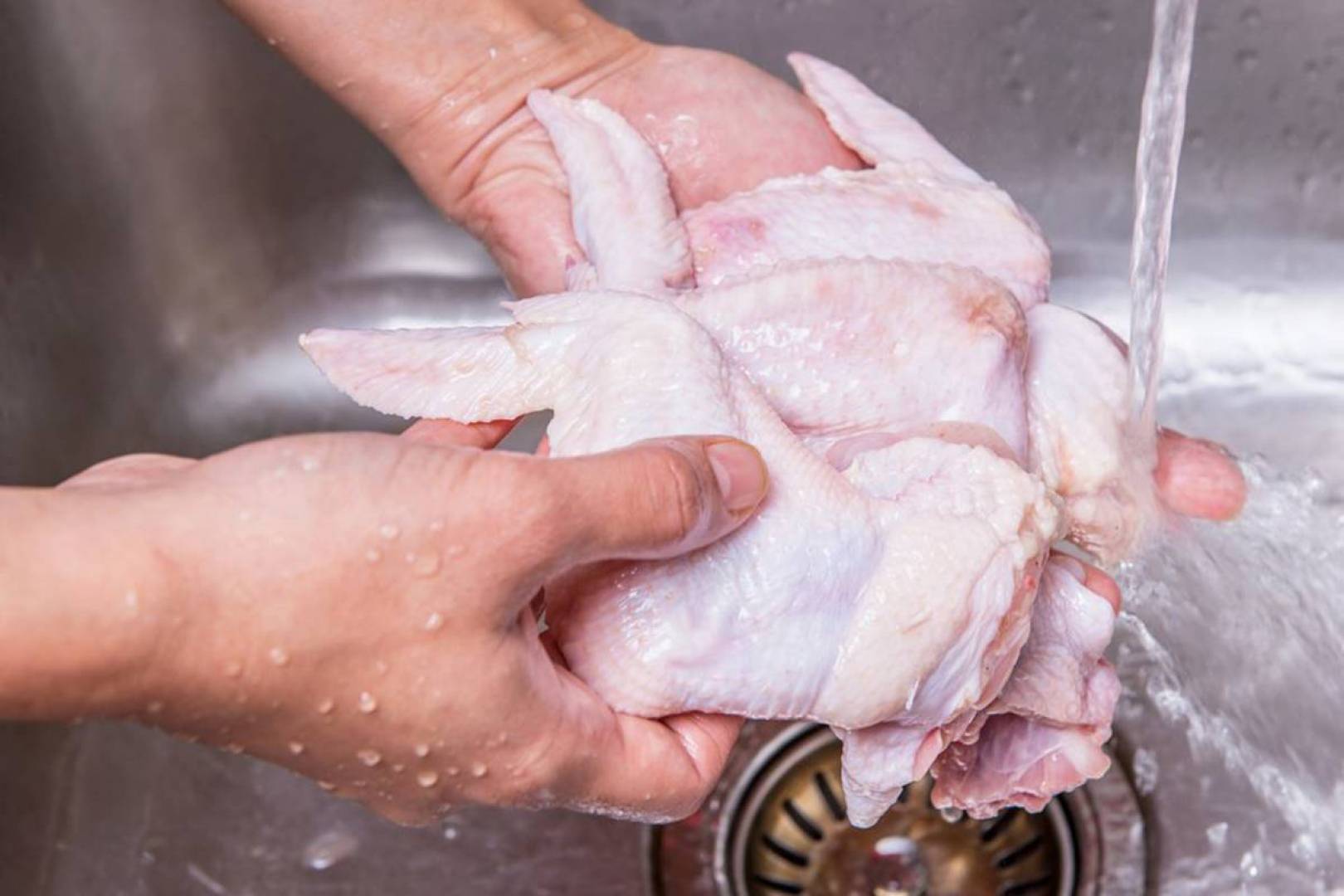 هل يُفضل غسل الدجاج واللحوم قبل طهيها؟ 