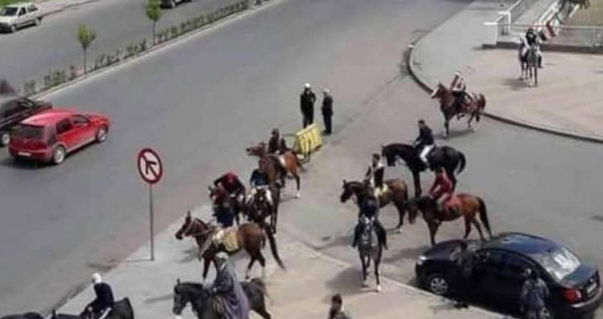 حقيقة "اللجوء إلى الخيول" في دمشق وسط أزمة الوقود