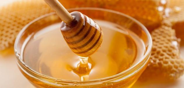   الأردن ينتج 288 طنا من العسل في 2018