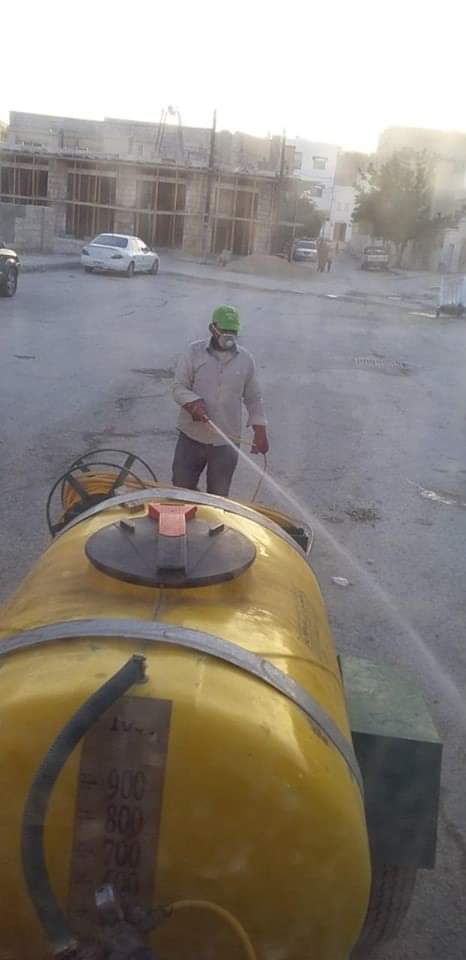 انتشار كثيف للحشرات في معان.. مصور 