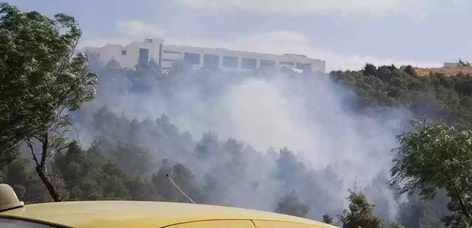 الدفاع المدني يخمد حريقا شب بأعشاب جافة في عجلون