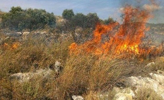 إخماد حريق أعشاب جافة في محافظة العاصمة