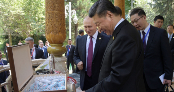 هدية من بوتين لرئيس الصين في عيد ميلاده