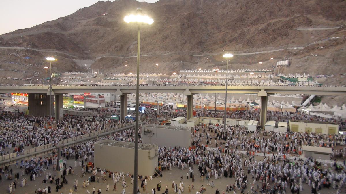 اكتمال تفويج الحجاج من المدينة المنورة إلى مكة المكرمة ..تقرير تلفزيوني