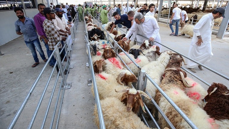 الكويت تغرم كل من يذبح أضحيته بدون ترخيص