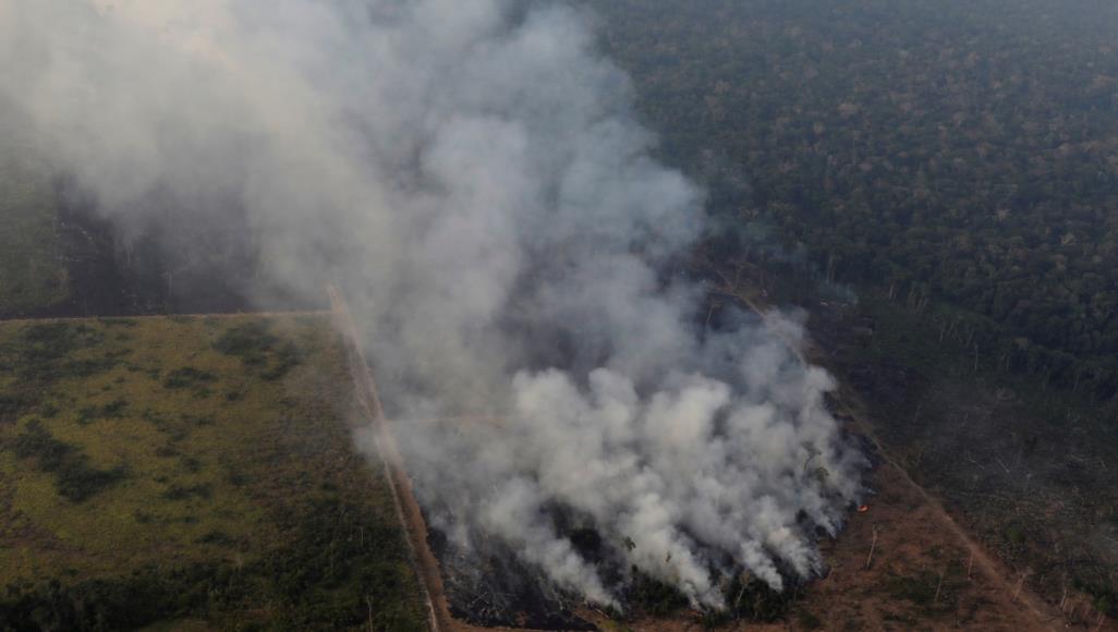 رئة العالم تحترق.. 2500 حريق جديد بالأمازون