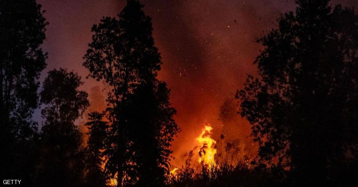 إندونيسيا تغلق شركات بسبب حرائق الغابات