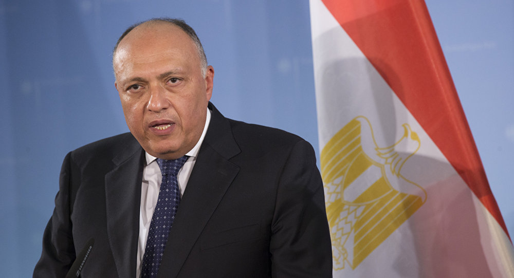 وزير الخارجية المصري يعلق على "المظاهرات" الأخيرة