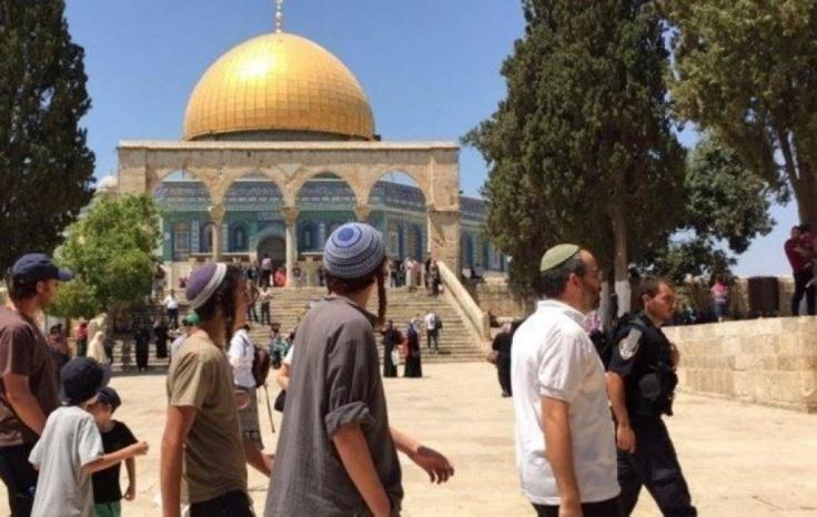 117 مستوطنًا يقتحمون الأقصى وسط قيود مشددة