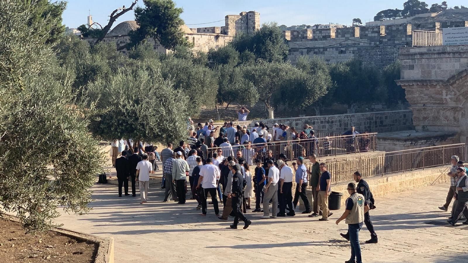 مئات المستوطنين يقتحمون الأقصى في "عيد الغفران" اليهودي 