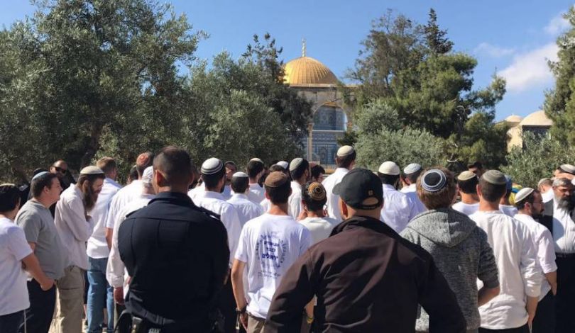 الأوقاف الفلسطينية: انتهاكات الاحتلال للأقصى تجاوزت الاستفزاز إلى السيطرة والتهويد