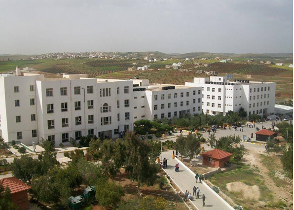 تشكيلات أكاديمية في جامعة إربد الأهلية