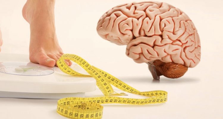 كم يحرق الدماغ من السعرات الحرارية عند التفكير؟ وما علاقته بفقدان الوزن؟