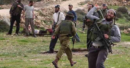 مستوطنون يعتدون على الفلسطينيين في نابلس ويصادرون اراضي بالاغوار الشمالية