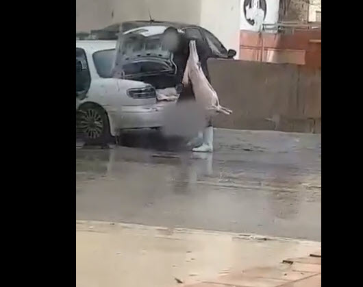 إحالة صاحب فيديو نقل اللحوم المتداول إلى القضاء - فيديو