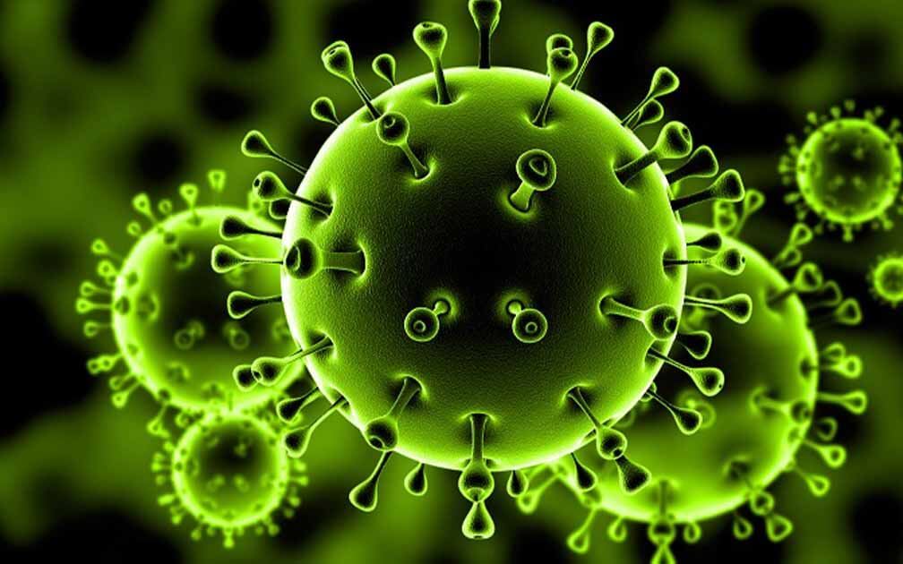 أخصائي علم فيروسات: 2 بالمائة نسبة الوفيات بين مصابي كورونا
