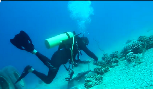 غطاسو الدفاع المدني ينفذون حملة نظافة لأعماق البحر الأحمر.. فيديو