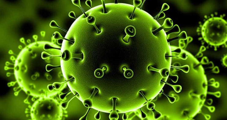 الصين تسجل ثلاث إصابات جديدة بفيروس كورونا