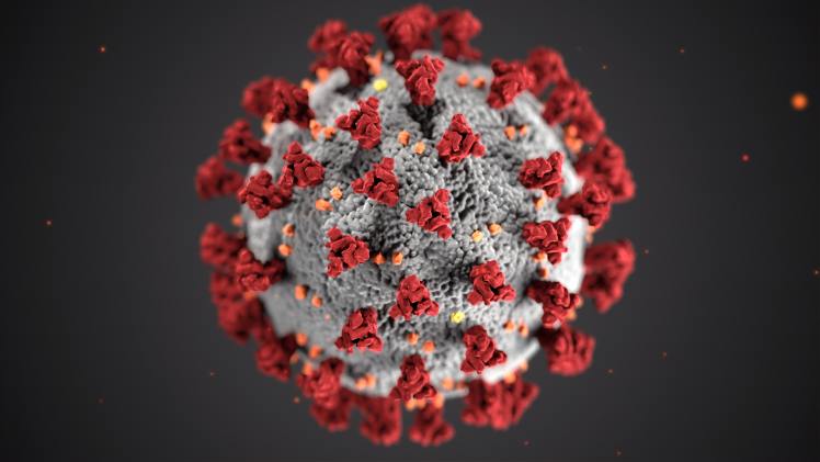 "الأوبئة" بصدد قياس مناعة الأردنيين من فيروس كورونا