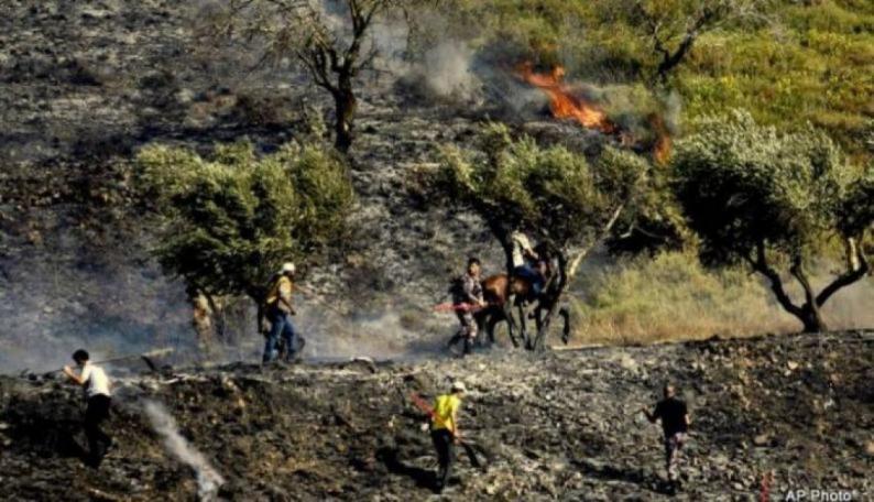 مستوطنون يضرمون النار بأشجار الزيتون في حوارة