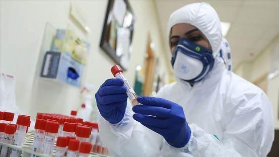 الصحة الفلسطينية: حالة وفاة و324 اصابة جديدة بفيروس كورونا في فلسطين