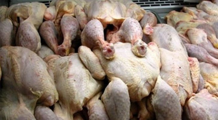 اتحاد مزارعي الدواجن: ادخال 568 طن دجاج ملوث للأردن