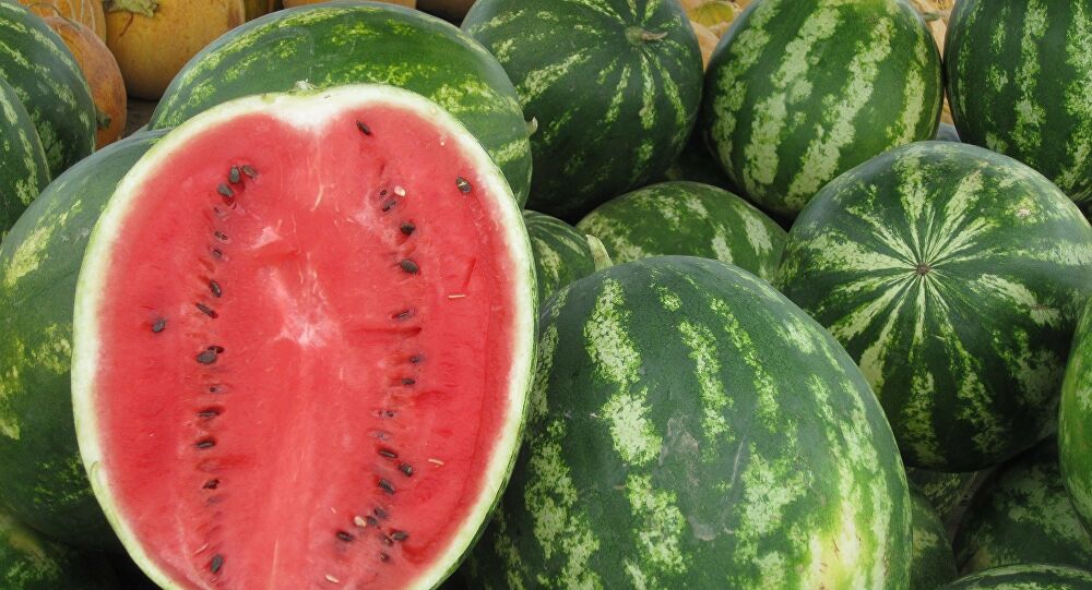 تقرير يكشف فوائد مذهلة من تناول البطيخ