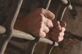 333 محكومًا خلال عامين يستبدلون الزنزانة بعقوبات مجتمعية بديلة غير سالبة لحريتهم