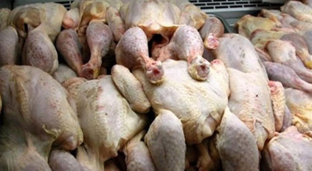 إتلاف 4300 كغم من الدجاج لتجاوز نسبة متبقيات المضادات الحيوية فيها