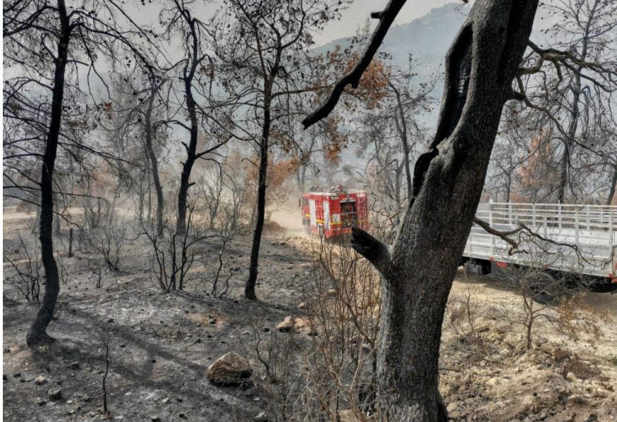    الدفاع المدني يكافح 3 حرائق في غابات عجلون - صور