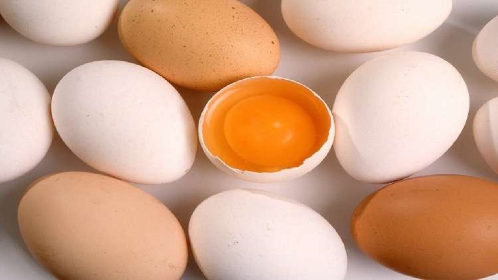ماذا يحصل عند تناول البيض يوميا؟   
