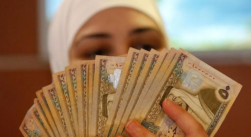 الأردن.. 294 ألف مقترضة و162 ألف مقترض من مؤسسات التمويل الأصغر في 2020