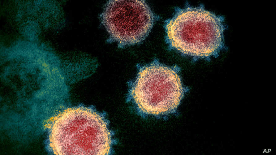 كيف تنشأ سلالات فيروس كورونا الجديدة؟