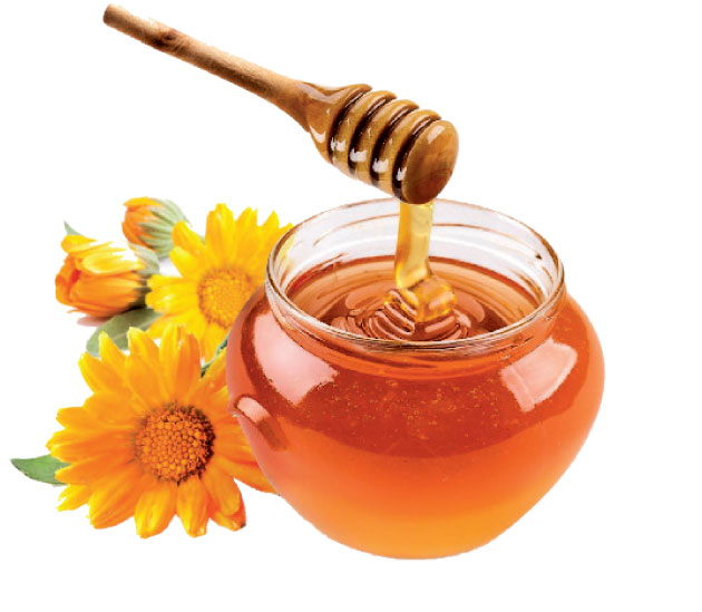 ما الفرق بين العسل والسكر؟