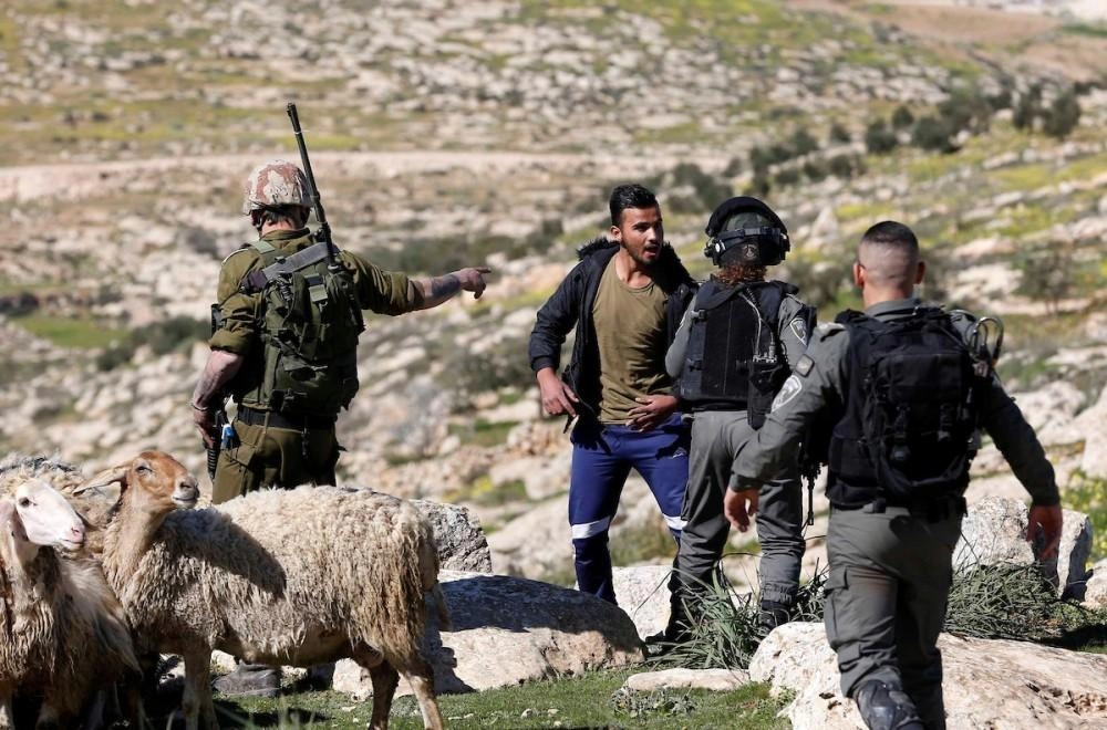 مستعمرون يعتدون على مواطنين فلسطينيين ويستولون على أغنام في كيسان